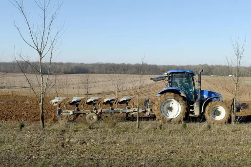 Jusqu'à 70% de leurs paiements directs et 85% des paiements en lien avec le développement rural seront disponibles dès la mi-octobre pour redresser leur trésorerie, a annoncé la Commission européenne.