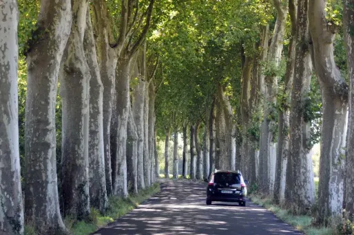 Automobile : la femme "la plus rapide du monde" se tue en essayant de battre son record