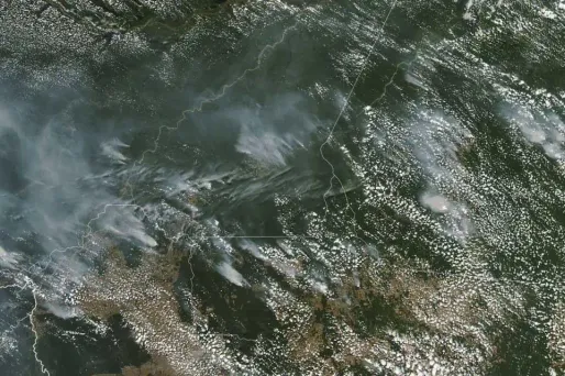 Les feux de forêt ont augmenté de 85% depuis un an au Brésil.
