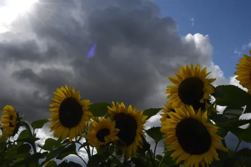 Le temps mardi : belles périodes ensoleillées et humidité