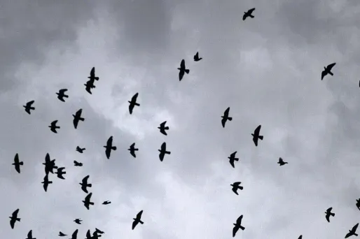 Le temps mardi : faible perturbation