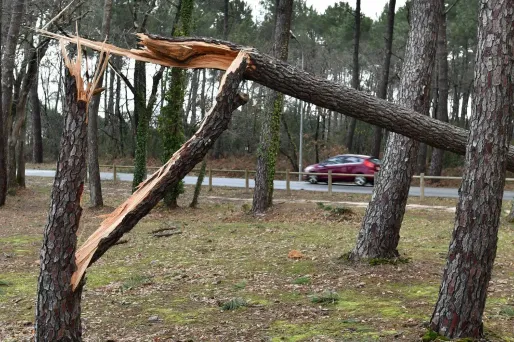 Les rafales ont atteint les 130 km/h à Arcachon  NICOLAS TUCAT / AFP