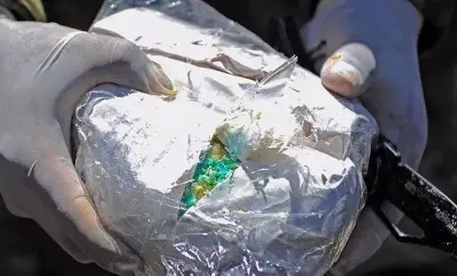 Au moins 80 kilos de cocaïne saisis en mer au large de la Guadeloupe