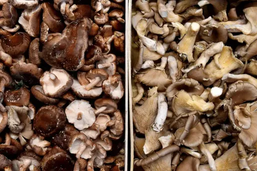 Champignons (2000x1000) GEORGES GOBET / AFP
