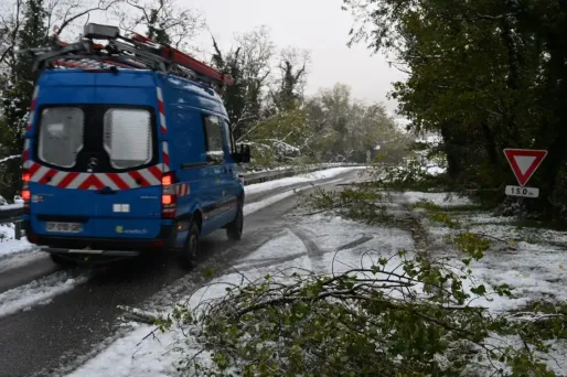 "Plus de 80% des foyers ont retrouvé l'électricité grâce à la mobilisation des équipes Enedis", indique le gestionnaire (photo d'illustration).