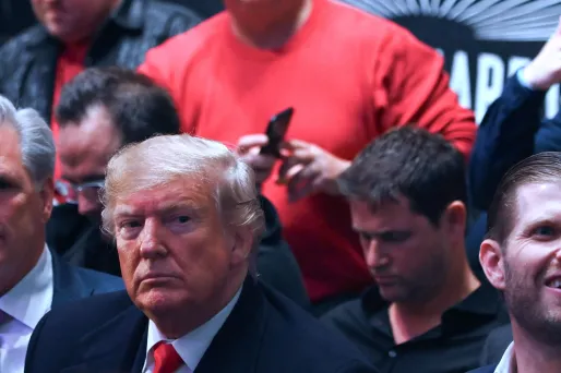 Donald Trump samedi, lors d'un match de MMA.