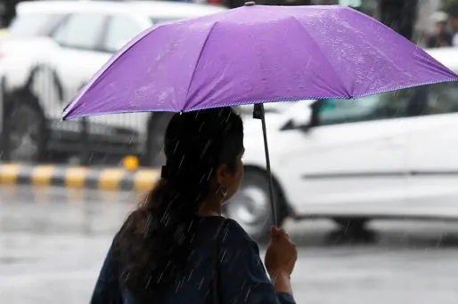 Il devrait continuer de pleuvoir sur une large partie du sud de l'Hexagone dimanche. (Image d'illustration)