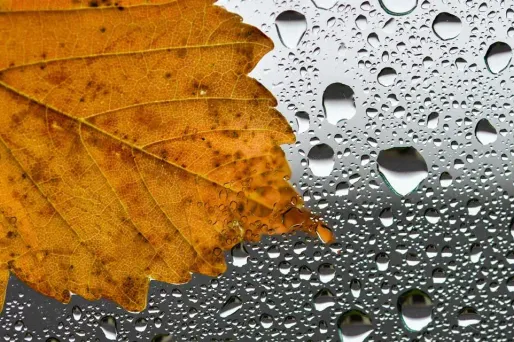 La météo de jeudi : la pluie s'installe sur les bords de la Méditerranée, perturbations ailleurs