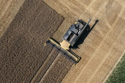 Les pesticides de synthèse ne sont "pas plus dangereux que les pesticides biologiques", considère ce maire. (Photo d'illustration)
