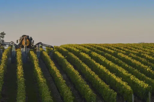 Vin : l'Italie en passe de redevenir premier producteur mondial, devant la France