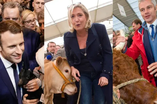 montage salon de l'agriculture