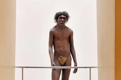 Néandertal, musée national de Préhistoire crédit : PIERRE ANDRIEU / AFP - 1280