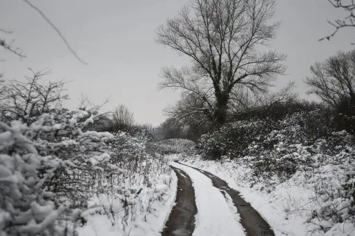 neige, février 2018, Chaumont-sur-Loire crédit : GUILLAUME SOUVANT / AFP - 1280
