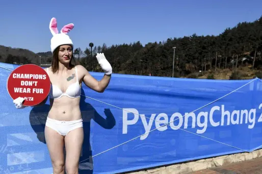 Peta, fourrure, Pyeongchang crédit : DIMITAR DILKOFF / AFP - 1280
