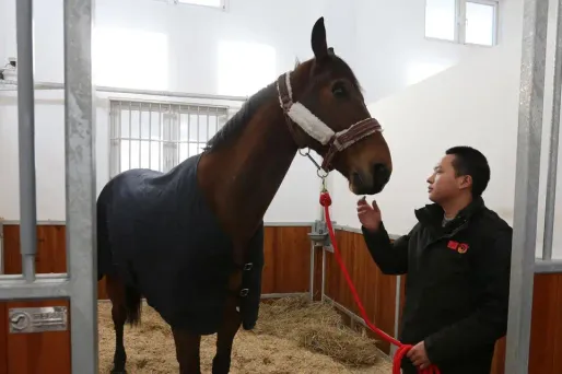 Le cheval de la Garde républicaine a été offert à la Chine.