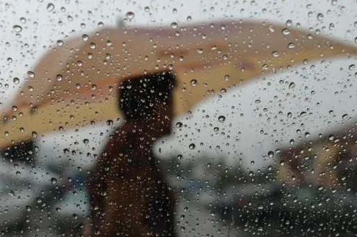 Dans le Nord et le Pas-de-Calais, il s'agit d'une "tempête commune en période hivernale pouvant se produire plusieurs fois par an". (Illustration)