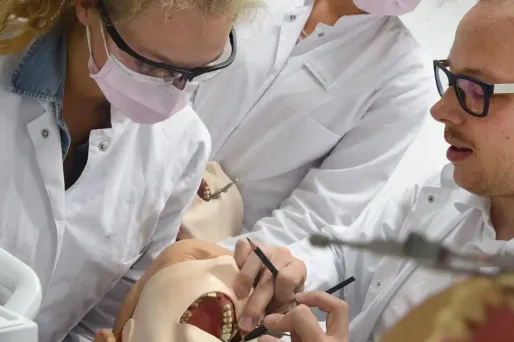 Prothèses dentaires, 1280x640