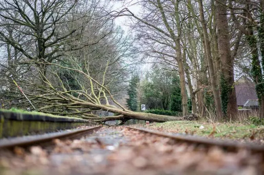 L'Allemagne a été particulièrement touchée par la tempête Friederike.