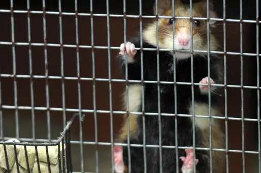 L'ouvrage de plus de 1.000 pages est le premier du genre dans le monde.