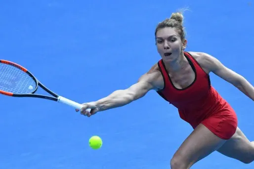 Seimona Halep a dû s'employer pour battre Petra Martic
