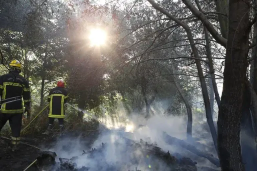 Les pompiers ont réussi à "fixer" le feu de forêt (photo d'illustration).