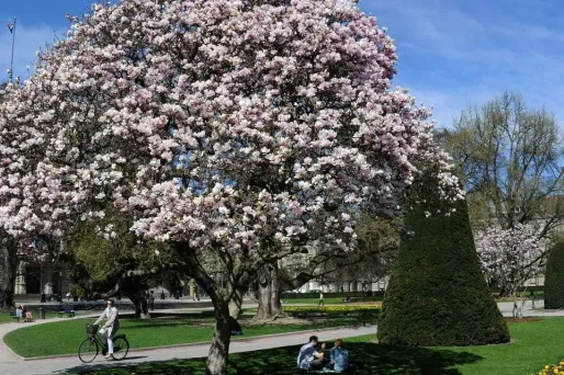 La grisaille matinale se dissipera en cours de journée et le soleil reprendra ses droits. (Photo d'illustration)