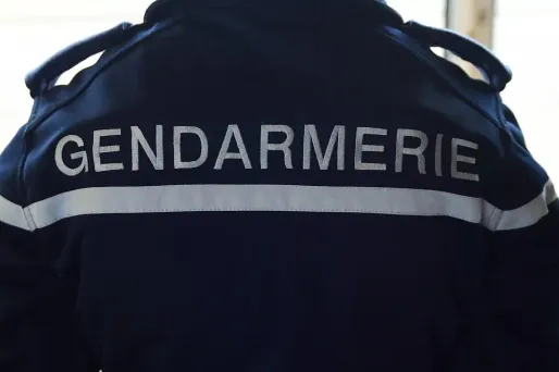 L'adolescente a été entendue par les gendarmes puis laissée libre.