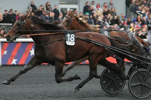 Le trotteur français Idao de Tillard remporte le 104e Prix d'Amérique