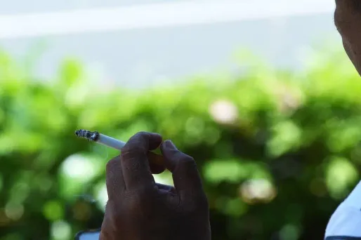 La mesure s'appliquera dans un premier temps aux six grands parcs de la Ville.