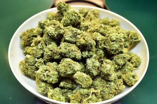 Le droit dit que le chanvre peut être utilisé à des fins industrielles quand il contient moins de 0,2% de THC.