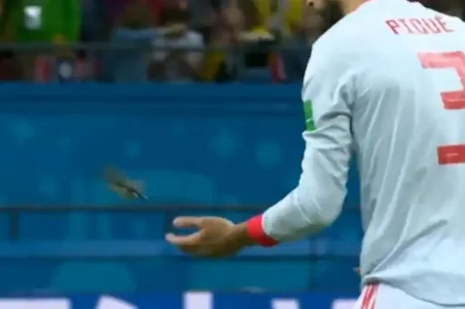 Gérard Piqué puis Isco ont déposé l'oiseau au bord du terrain.