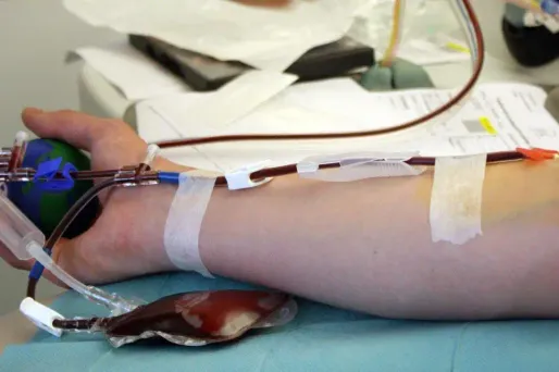 Le sang collecté sert à la fois à faire des transfusions et à soigner certaines pathologies