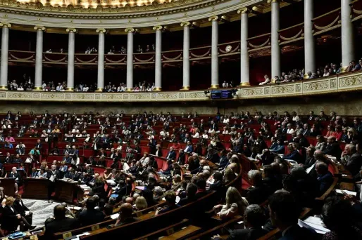 L'amendement entend faciliter l'application de l'article en élargissant le délit aux occupations collectives.