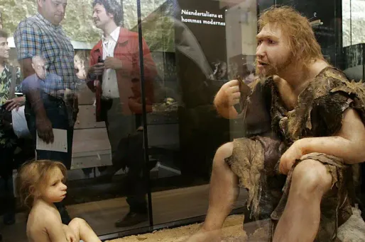 Les chercheurs ont analysé plusieurs outils datant d'il y a 50.000 ans.