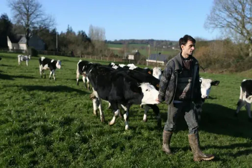 En 2017, la majorité des ventes de viande bio en volume a été réalisée au sein de la grande distribution.