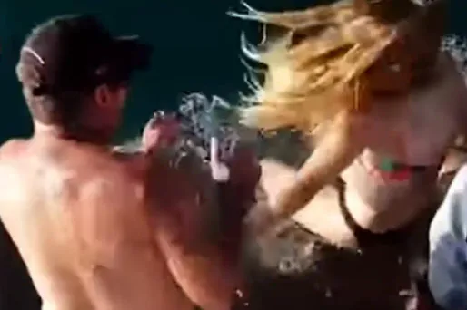 australie requin 1280