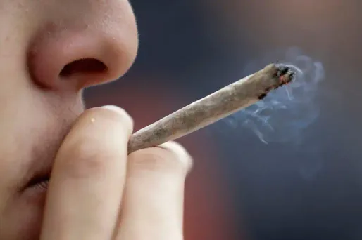 Pernod Ricard s'intéresse... au cannabis