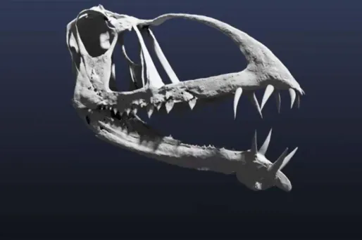 ptérosaure 1280  Brigham Young University