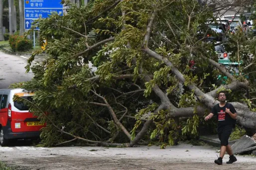 hong kong typhon 1280