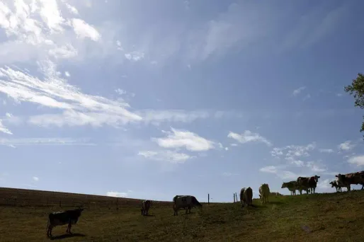 La météo de dimanche 9 septembre : ensoleillé mais lourd et orageux dans le Sud-Ouest