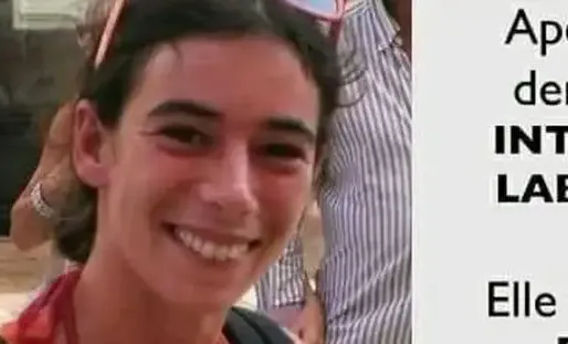 Laura Fay a été vue pour la dernière fois à Labrit, dans les Landes, alors qu'elle se rendait à un festival de musique. Capture d'écran