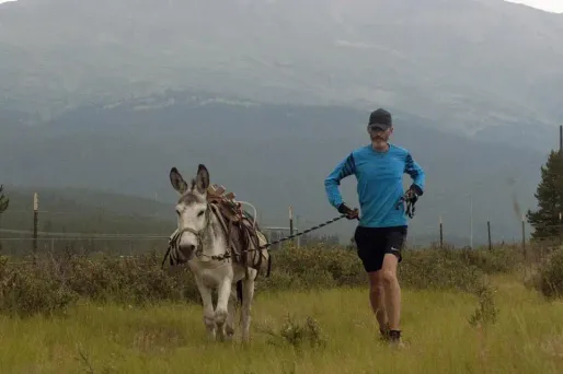 exercice physique, course à pied, ane crédit : JASON CONNOLLY / AFP - 1280