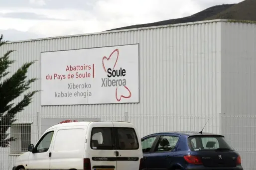 Six mois de prison avec sursis contre l'ex-directeur et des amendes de quelques centaines d'euros ont été requis contre les cinq prévenus.