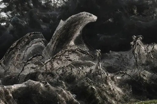 araignee lac grece 1280