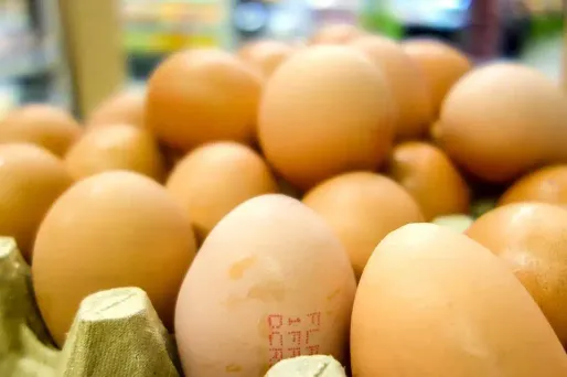 Les autorités sanitaires recommandent aux personnes qui détiennent encore ces oeufs de ne pas les consommer.