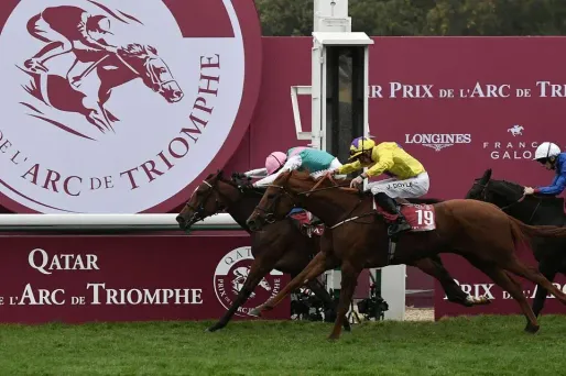 La jument anglaise s'est imposée à l'arrachée.