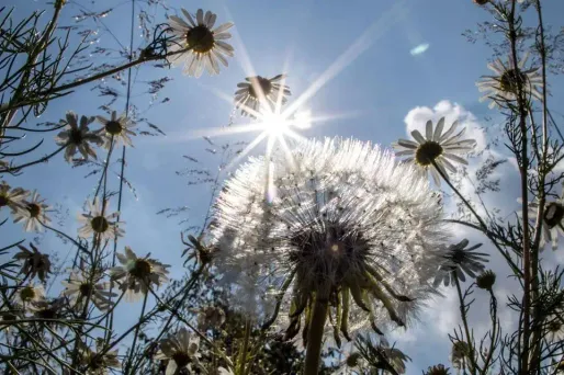 Le temps sera ensoleillé sur les régions au sud de la Loire mardi.