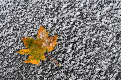 Quand il fait froid, prenez l'habitude de bouger, de marcher, de faire du vélo. Car l'organisme d'un être humain se recharge en énergie dans le mouvement comme une montre automatique.