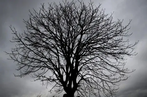 Les grisailles prévues jeudi matin évolueront vers un ciel plus dégagé au fil des heures sur la moitié est et dans le Sud-Ouest.