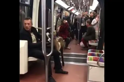 Les usagers de la ligne 1 du métro ont eu une drôle de surprise, mardi matin.